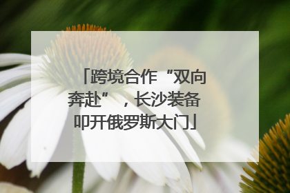 跨境合作“双向奔赴”，长沙装备叩开俄罗斯大门